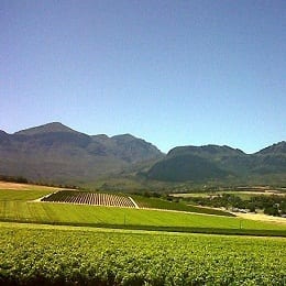 VINPRO ANNUAL GENERAL MEETING
