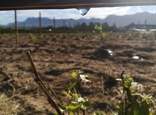 Wenke vir na-oespraktyke in die droogtegeteisterde 2018-seisoen